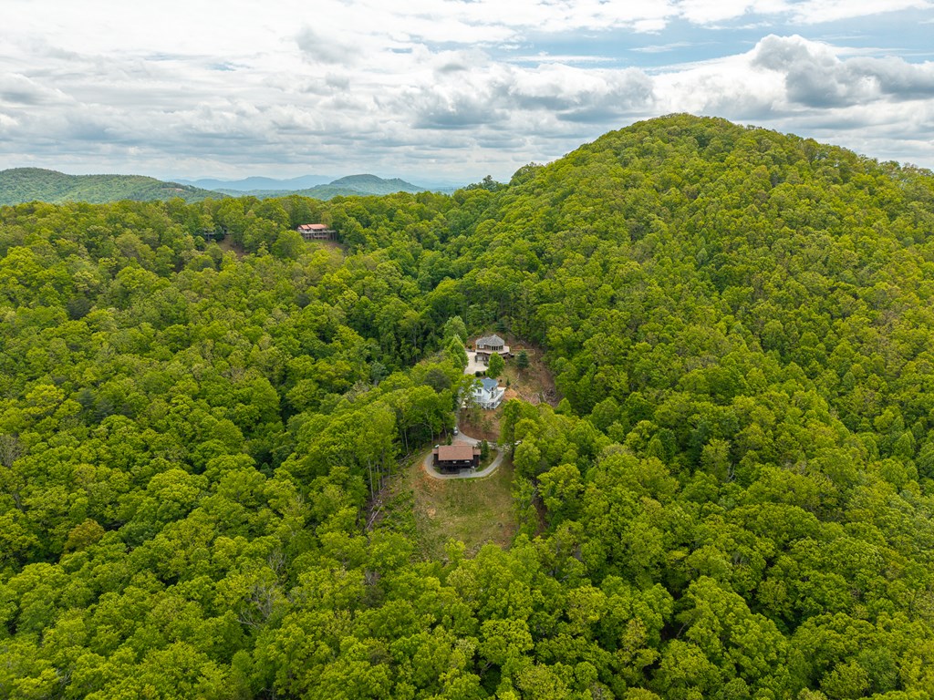 445 Tranquil Cove Road Murphy, NC 28906 - Photo 20 of 91