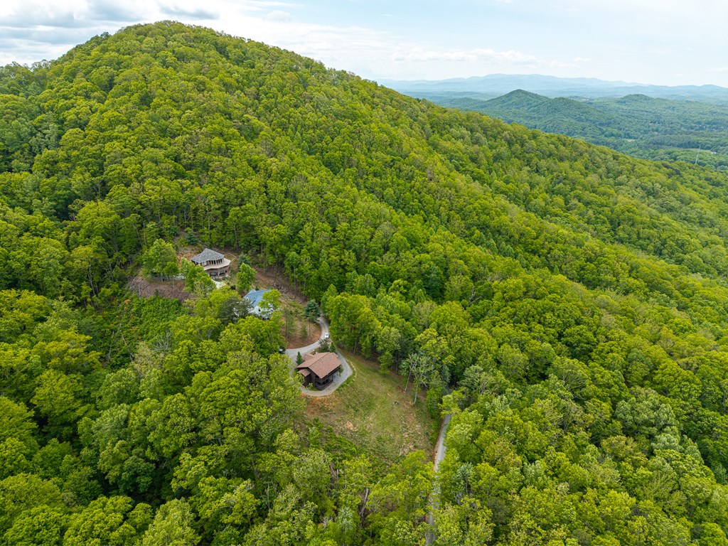 445 Tranquil Cove Road Murphy, NC 28906 - Photo 21 of 91 a view of a green field with lots of bushes