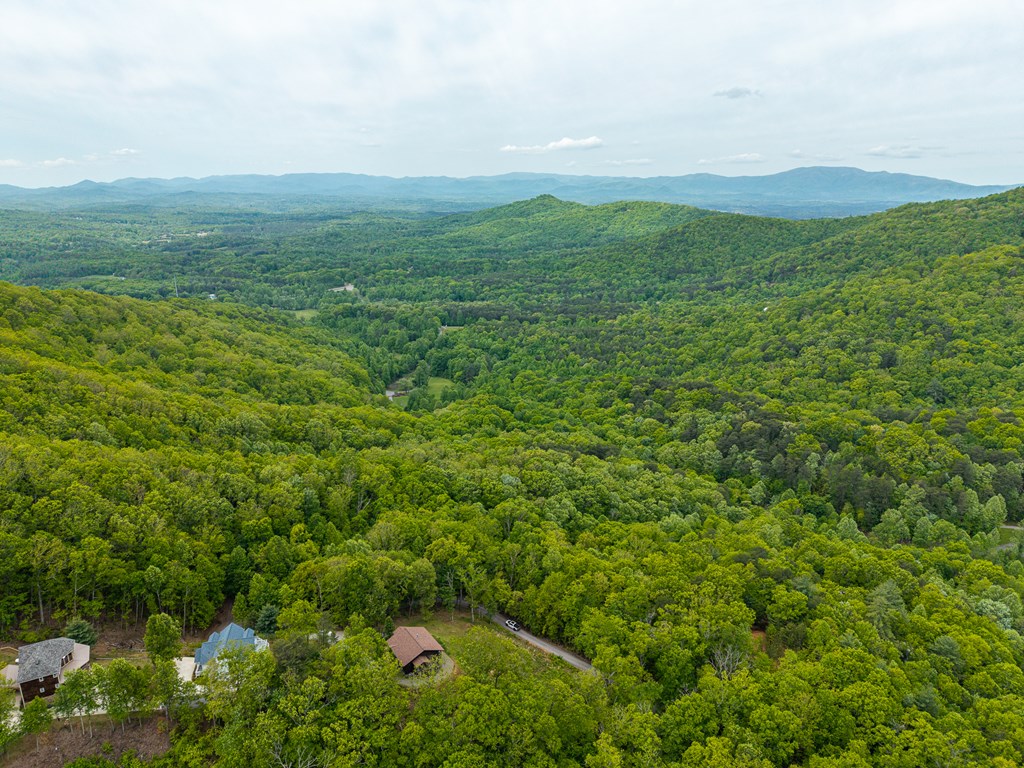445 Tranquil Cove Road Murphy, NC 28906 - Photo 22 of 91 a view of a lush green outdoor space with a lake view