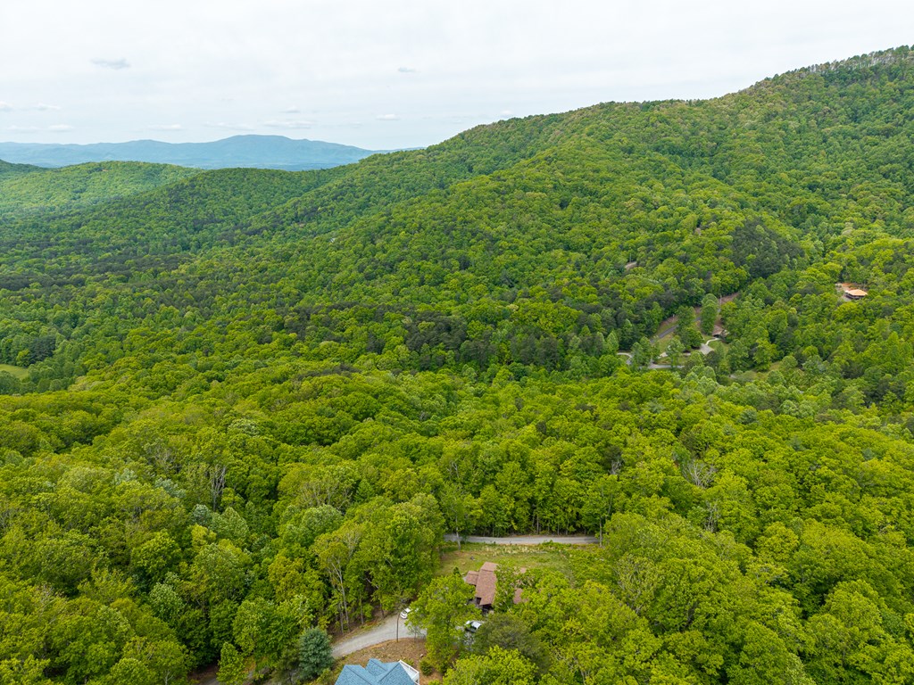 445 Tranquil Cove Road Murphy, NC 28906 - Photo 23 of 91