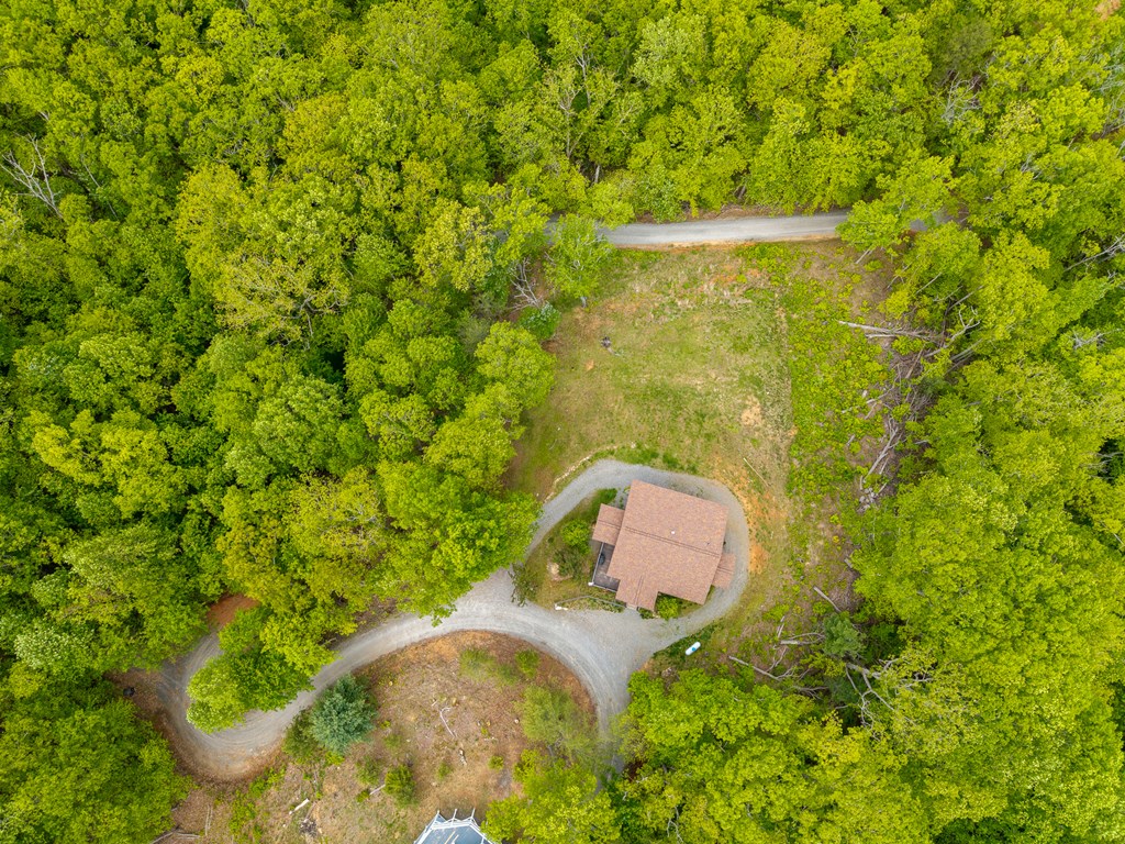 445 Tranquil Cove Road Murphy, NC 28906 - Photo 24 of 91
