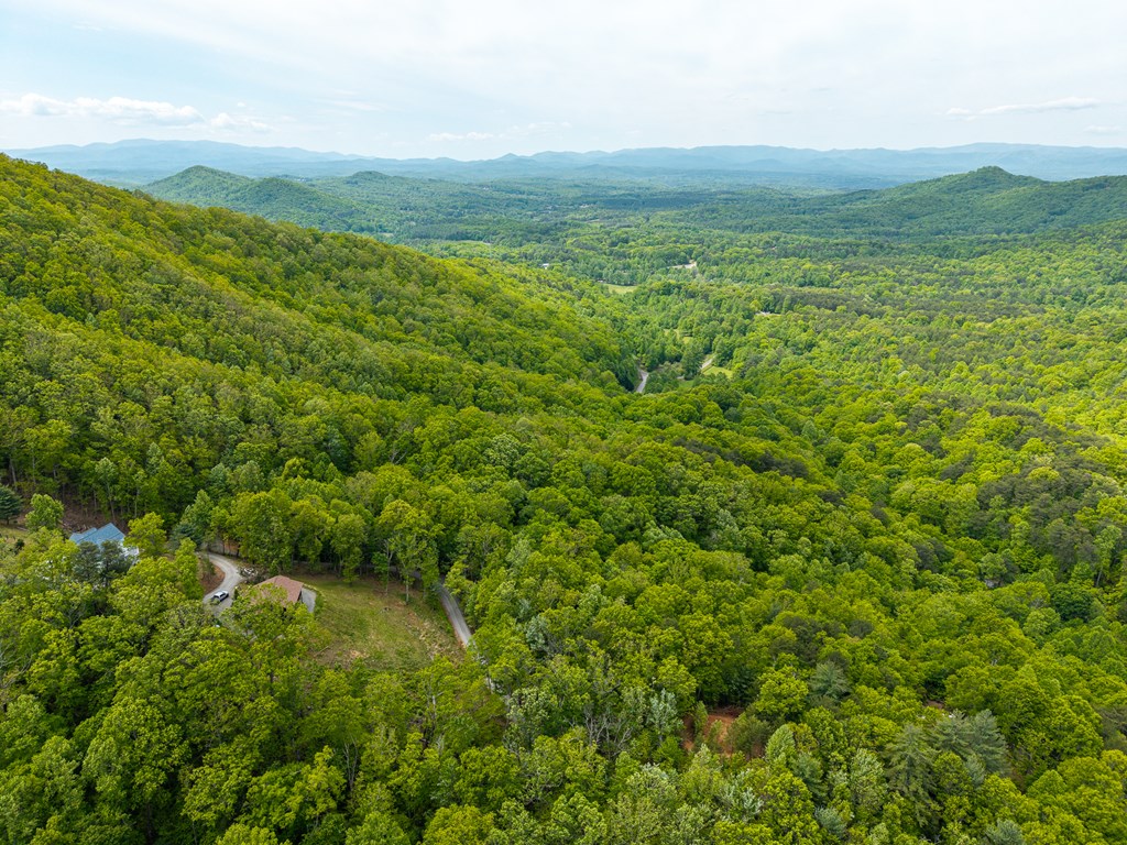 445 Tranquil Cove Road Murphy, NC 28906 - Photo 25 of 91 a view of a green field with lots of green space