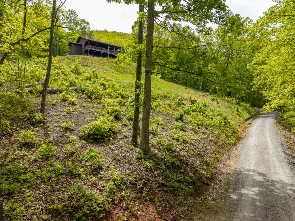 445 Tranquil Cove Road Murphy, NC 28906 - Photo 26 of 91 a view of a yard with plants