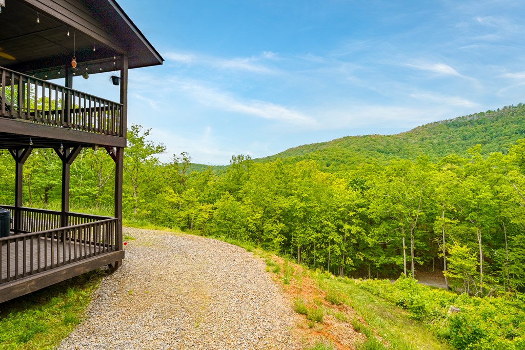 445 Tranquil Cove Road Murphy, NC 28906 - Photo 3 of 91