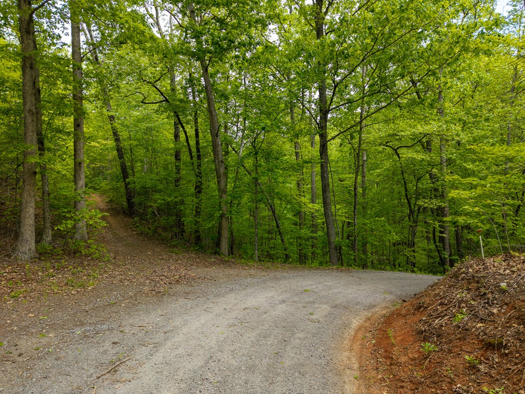 445 Tranquil Cove Road Murphy, NC 28906 - Photo 89 of 91