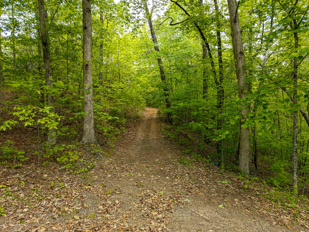 445 Tranquil Cove Road Murphy, NC 28906 - Photo 90 of 91