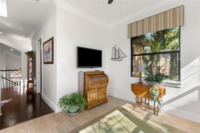 a view of a livingroom with furniture window and wooden floor