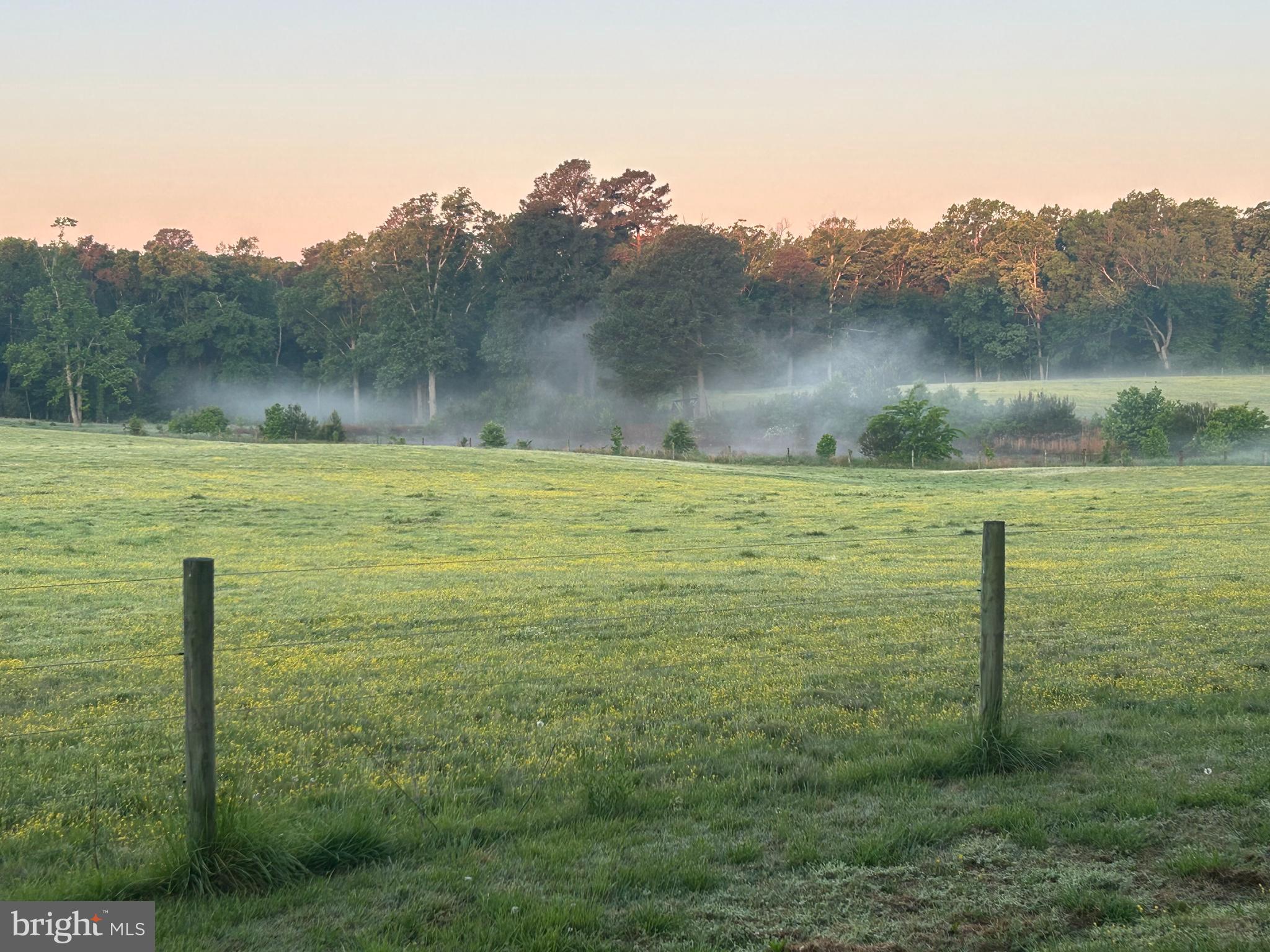 18091 Point Lookout Road Park Hall, MD 20667 - Photo 47 of 47 farmers pasture behind the backyard, pretty views!