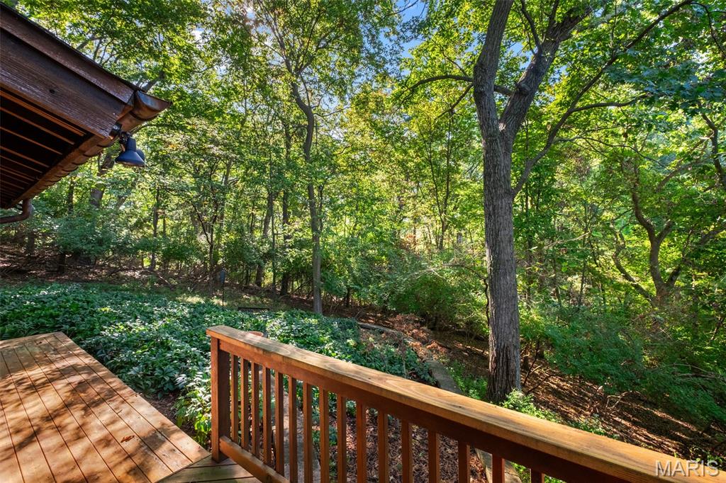 770 Straub Road Chesterfield, MO 63017 - Photo 32 of 41