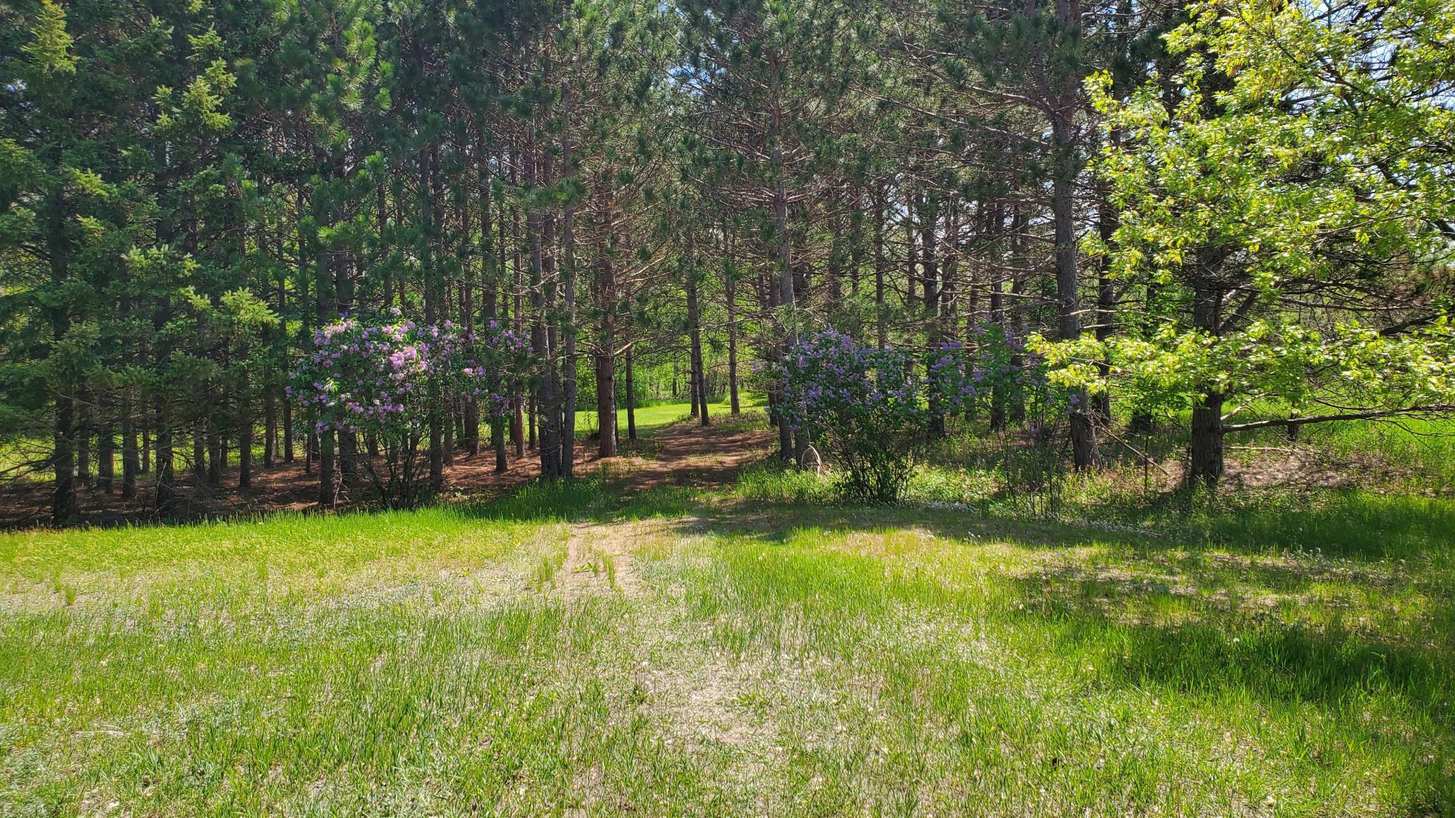 Xxxxx Nelson Road North Branch, MN 55056 - Photo 1 of 1 Gallery Image 1