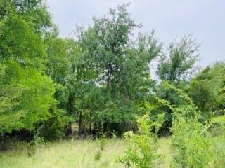 Tbd Homewood Circle Early, TX 76802 - Photo 6 of 11 a view of a garden