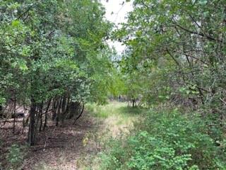 Tbd Homewood Circle Early, TX 76802 - Photo 9 of 11 a backyard of a house with lots of green space