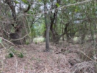 Tbd Homewood Circle Early, TX 76802 - Photo 10 of 11 a backyard of a house with lots of plants and seating