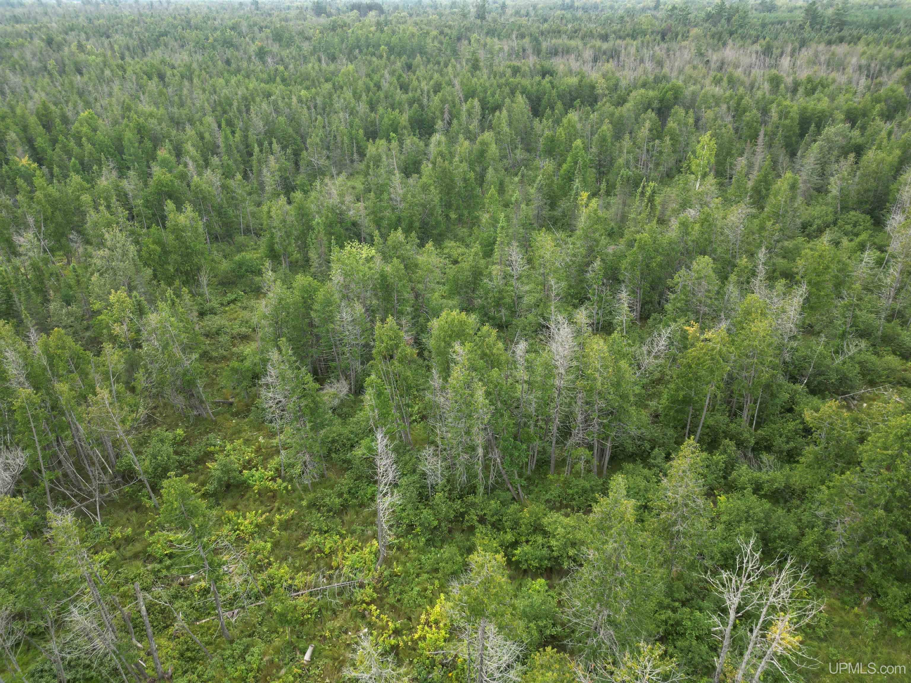 Tbd Tbd County Road, Unit 1 Cornell, MI 49818 - Photo 12 of 41