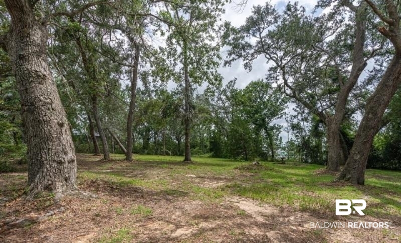 10970 County Road 99 Lillian, AL 36549 - Photo 11 of 38