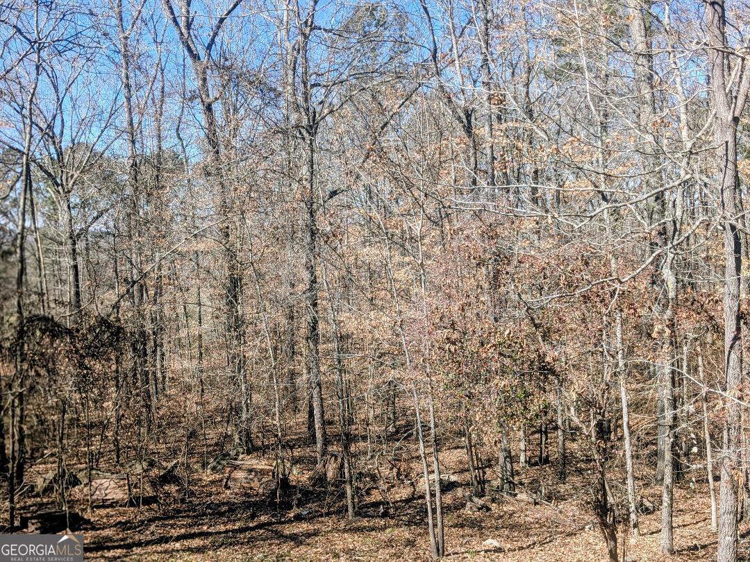 161 Hancock Road Williamson, GA 30292 - Photo 40 of 44 a view of a yard