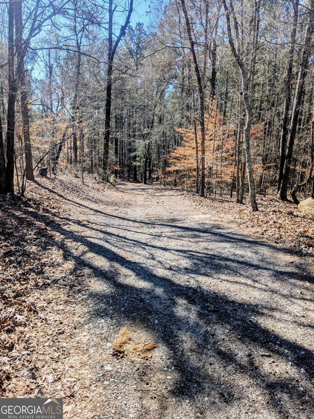 161 Hancock Road Williamson, GA 30292 - Photo 41 of 44 a view of road with trees