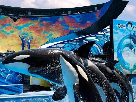 515 Daniels Avenue Orlando, FL 32801 - Photo 32 of 36 a view of a entryway