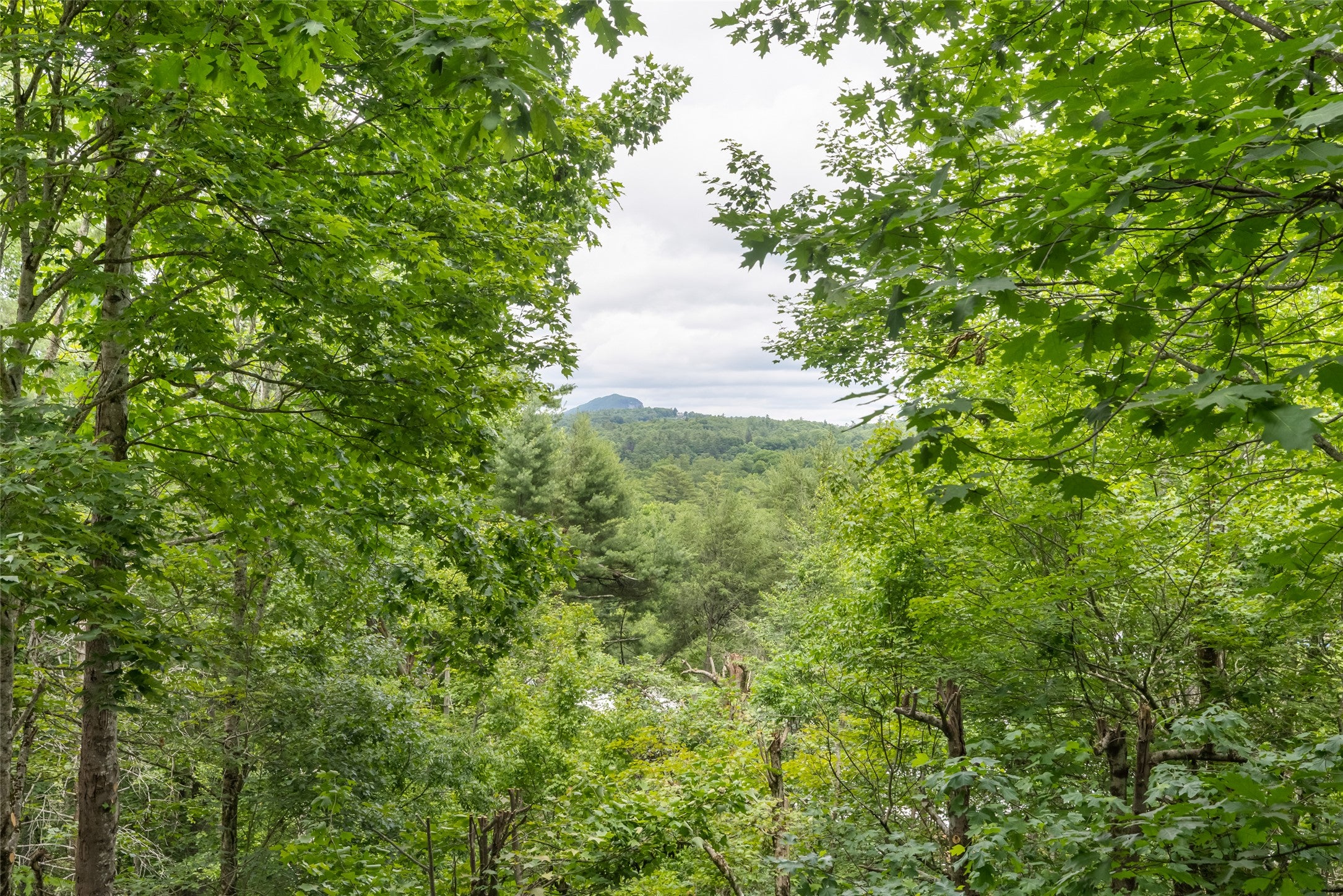244 Satulah Road Highlands, NC 28741 - Photo 26 of 27 Gallery Image 26
