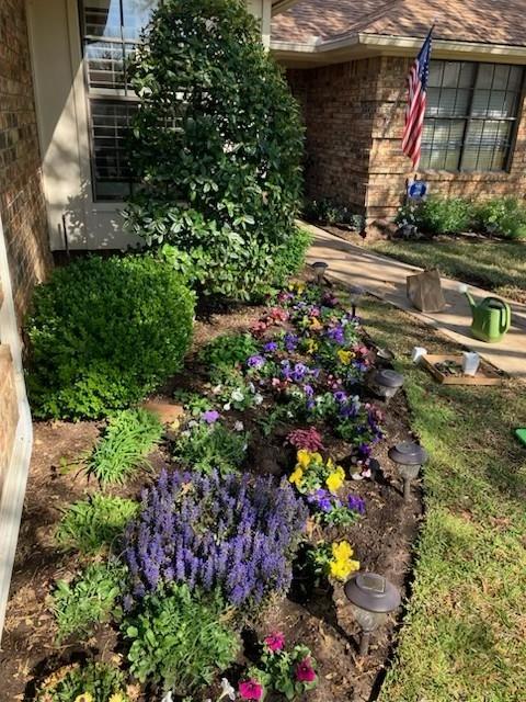 2213 Ridgewood Bedford, TX 76021 - Photo 2 of 40 Front landscape bed when the heat was not so extreme.