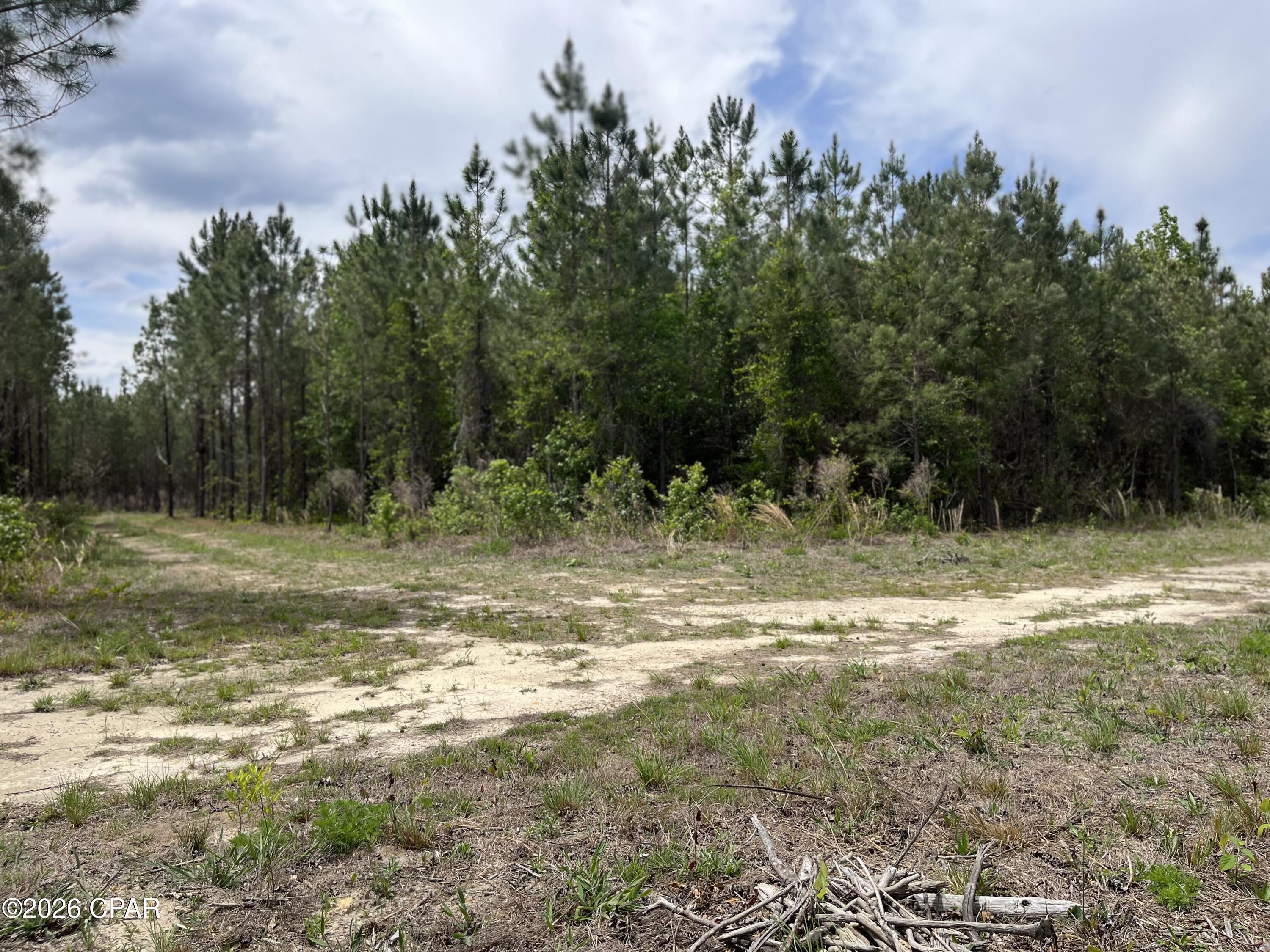 20460 Highway 71 Altha, FL 32421 - Photo 2 of 9