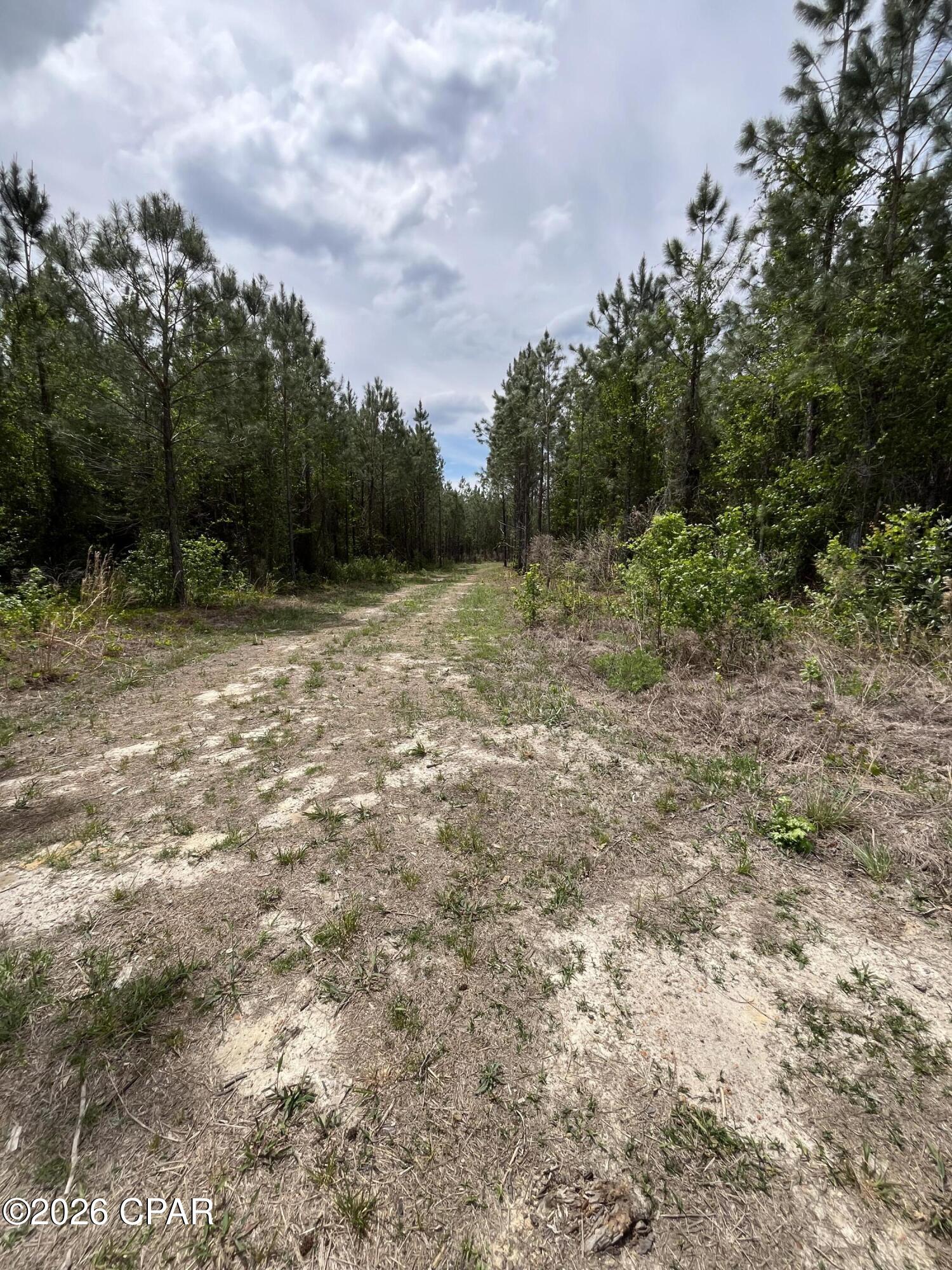 20460 Highway 71 Altha, FL 32421 - Photo 3 of 9