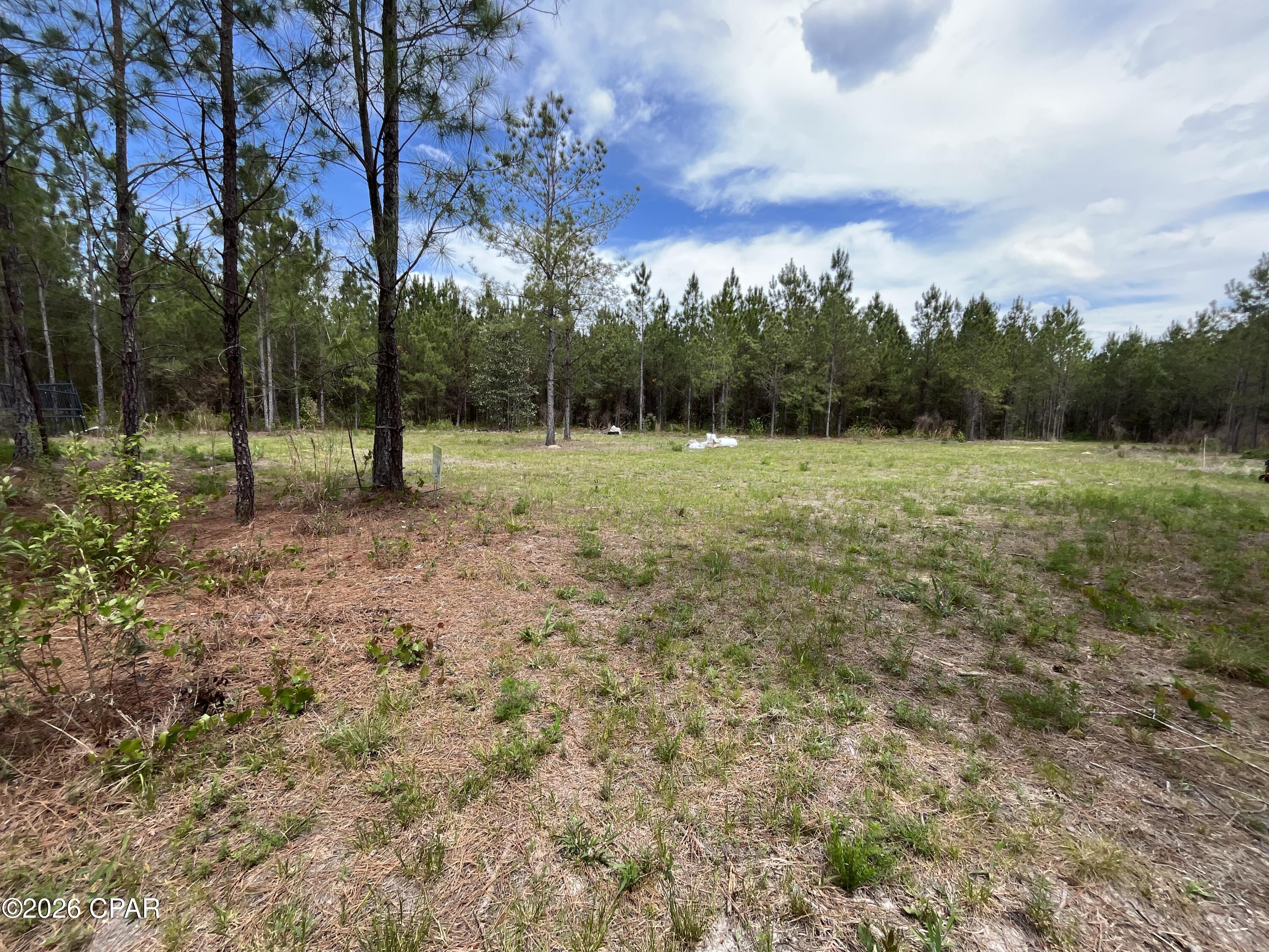 20460 Highway 71 Altha, FL 32421 - Photo 4 of 9