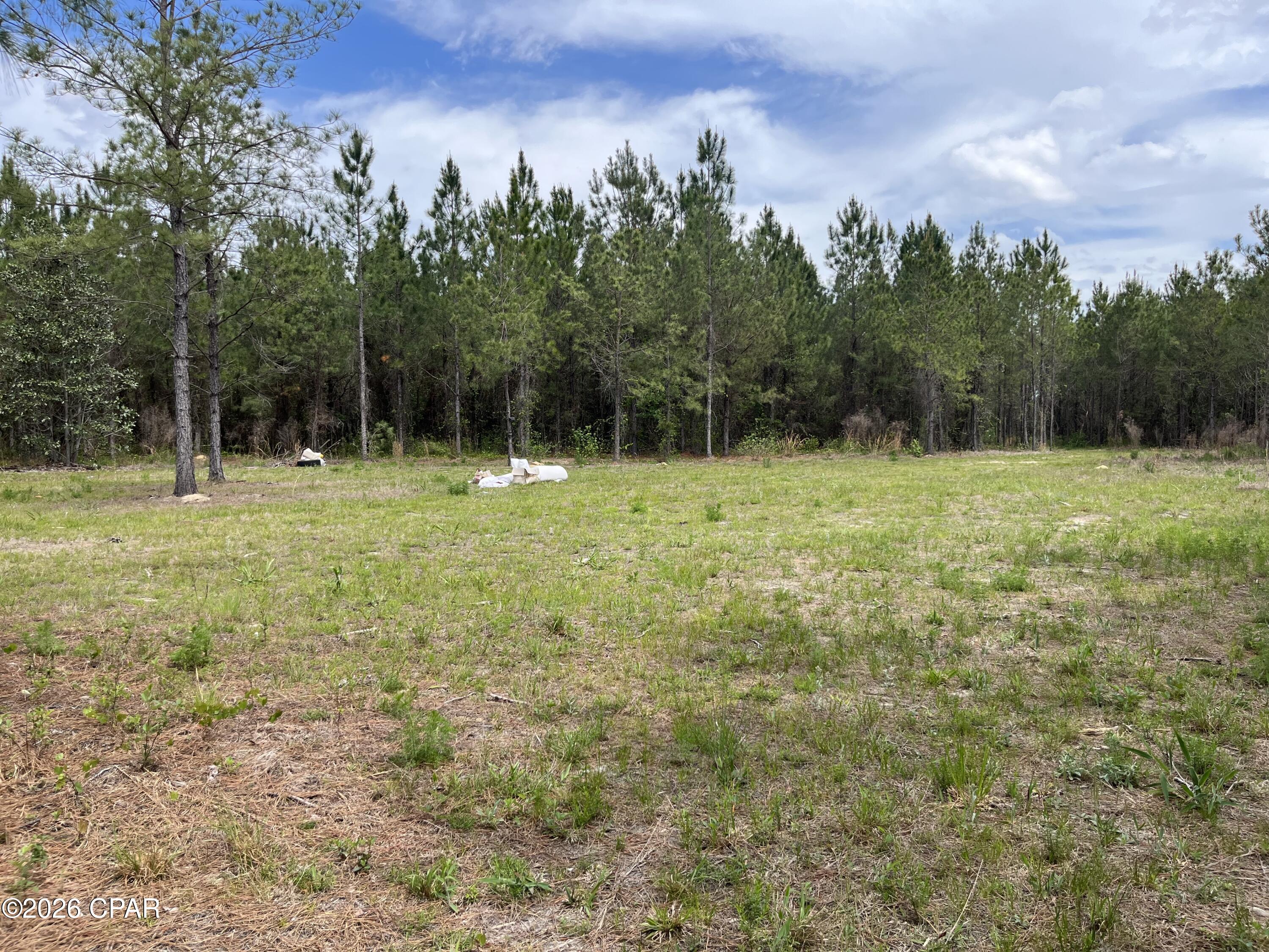 20460 Highway 71 Altha, FL 32421 - Photo 5 of 9