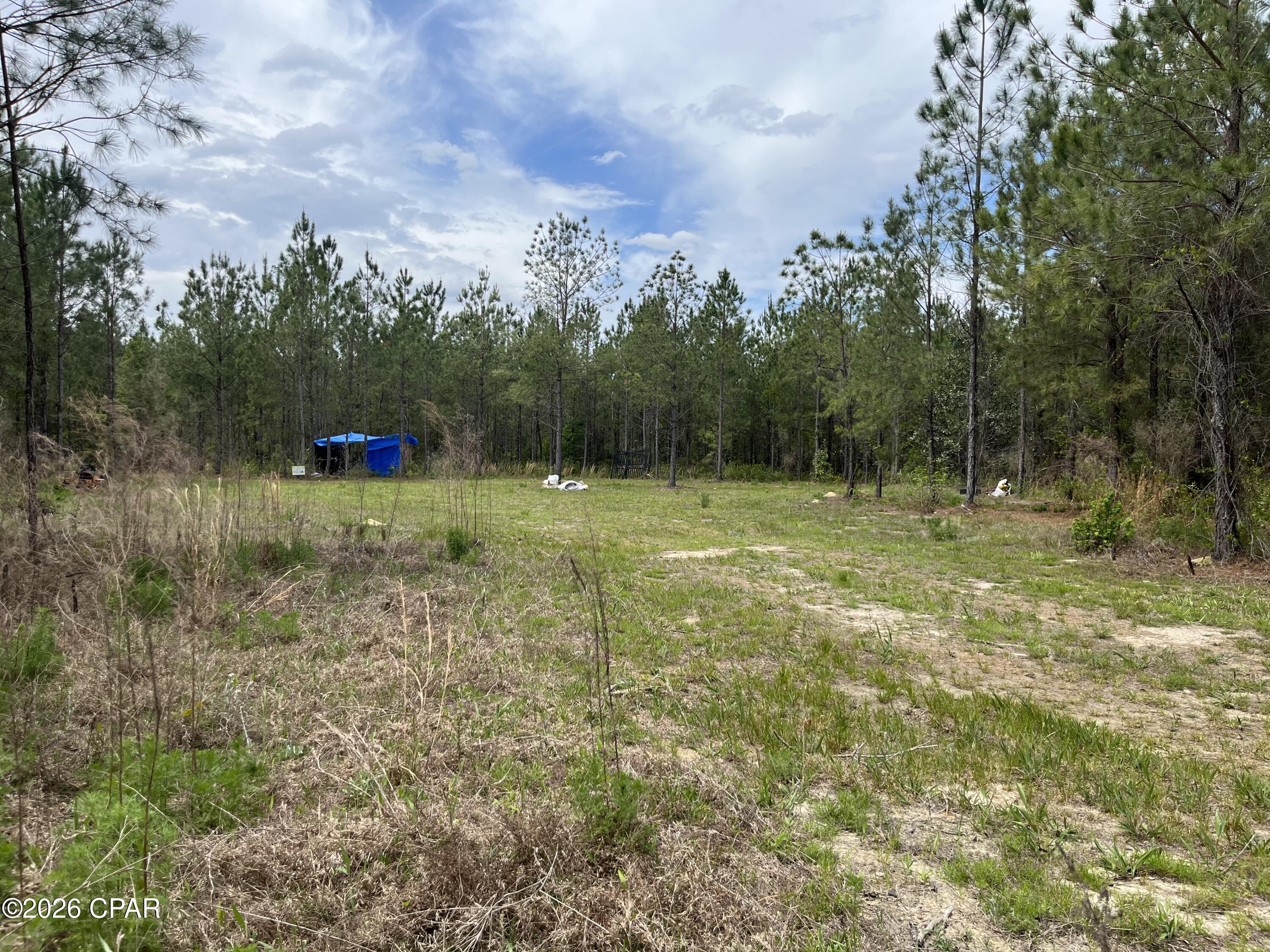 20460 Highway 71 Altha, FL 32421 - Photo 6 of 9