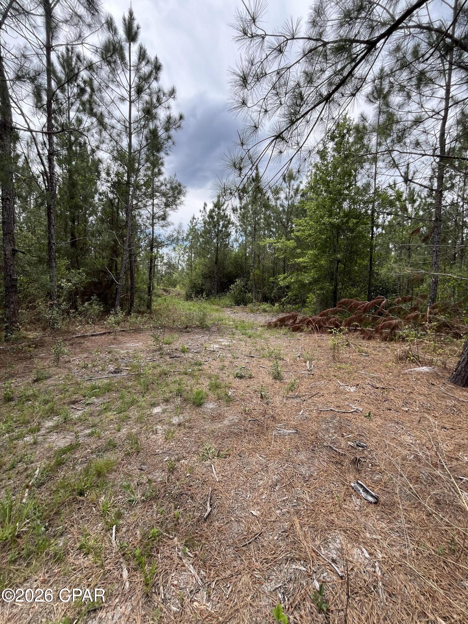 20460 Highway 71 Altha, FL 32421 - Photo 8 of 9