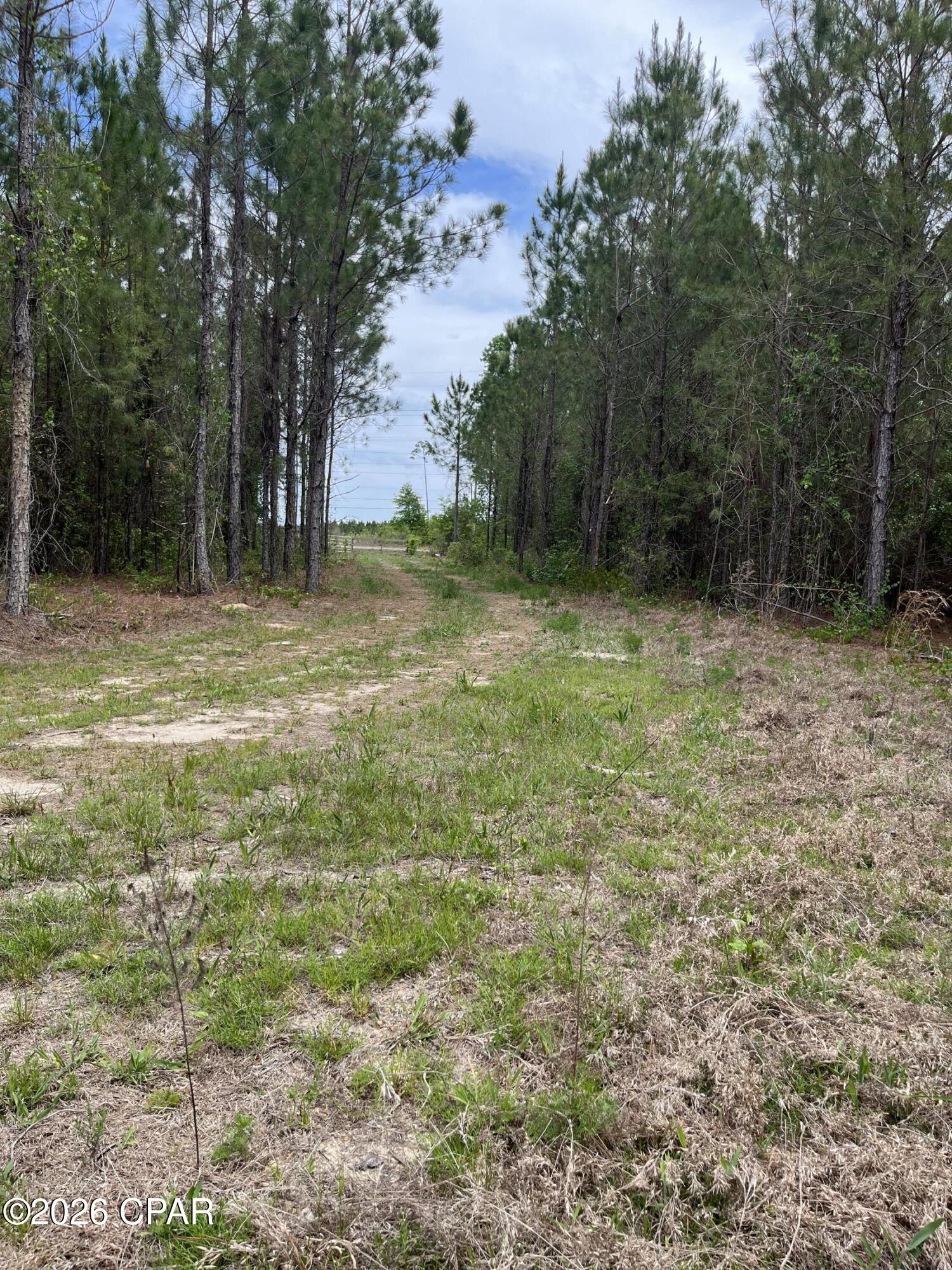 20460 Highway 71 Altha, FL 32421 - Photo 9 of 9