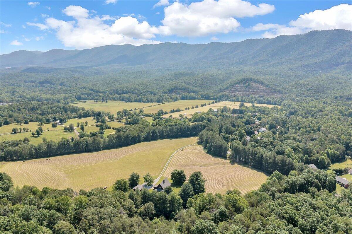 4087 Flatwoods Road Elliston, VA 24087 - Photo 8 of 43 41-4087 Flatwoods Rd_41
