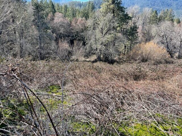 Upper Applegate Road Jacksonville, OR 97530 - Photo 4 of 4