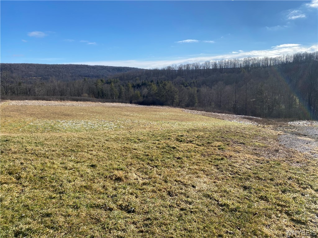 5341 Hill Road, Scio, NY 14880 Compass