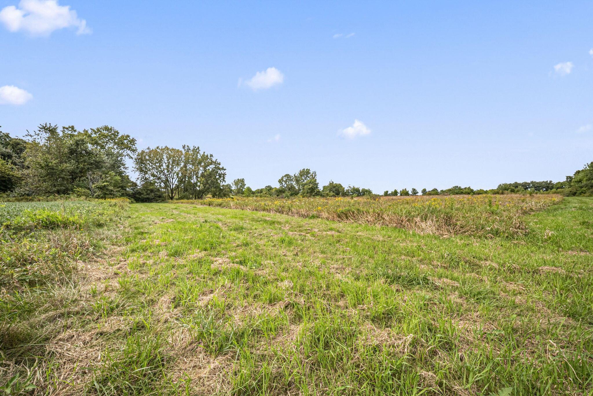 0 Likens Road Marion, OH 43302 - Photo 43 of 88 41-web-or-mls-DSC07017