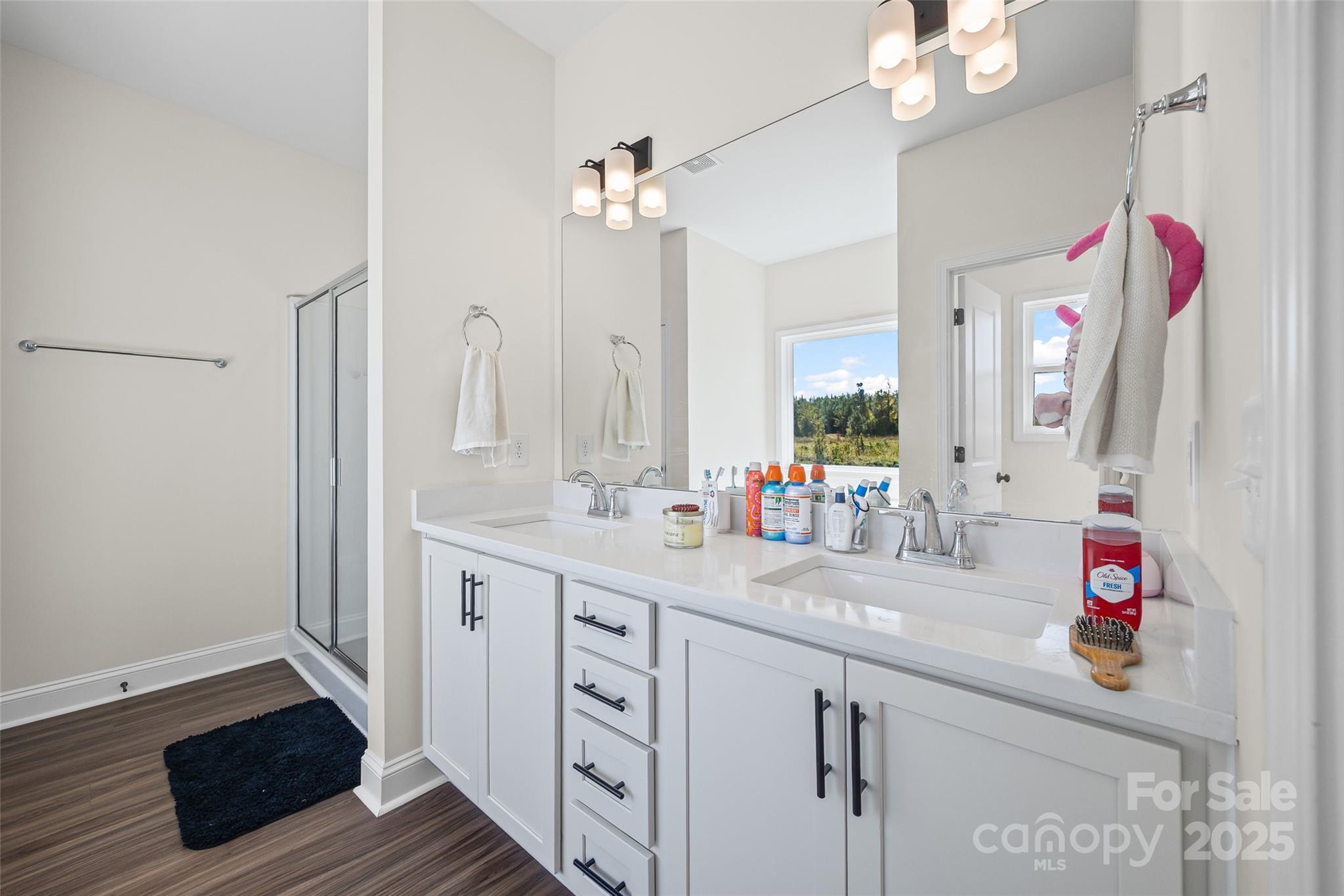 4822 Bull Run Road Blackstock, SC 29014 - Photo 21 of 34 a bathroom with a sink vanity and a mirror