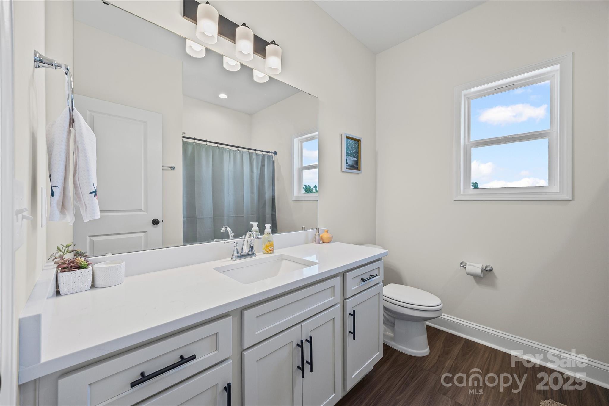 4822 Bull Run Road Blackstock, SC 29014 - Photo 24 of 34 a bathroom with a sink a toilet and a mirror