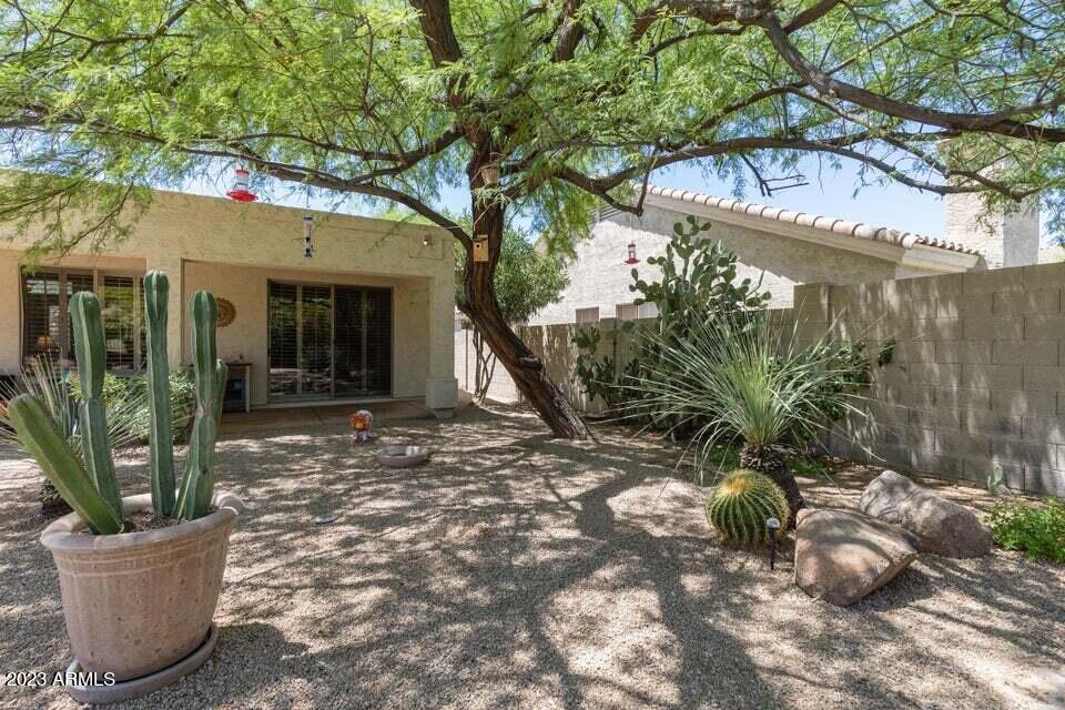7338 East Wingspan Way Scottsdale, AZ 85255 - Photo 25 of 32 a view of a house with a yard and potted plants
