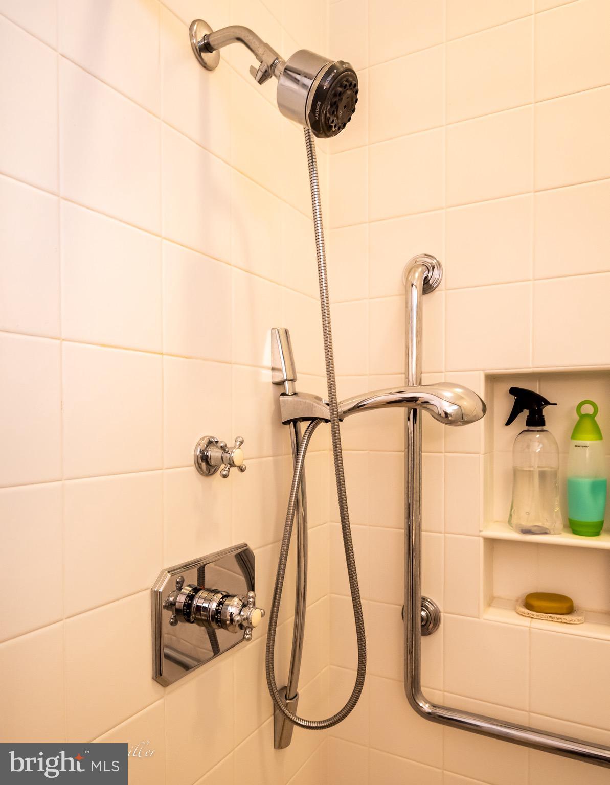 8 Roland Green, Unit 4 Baltimore, MD 21210 - Photo 39 of 76 Primary Bathroom
