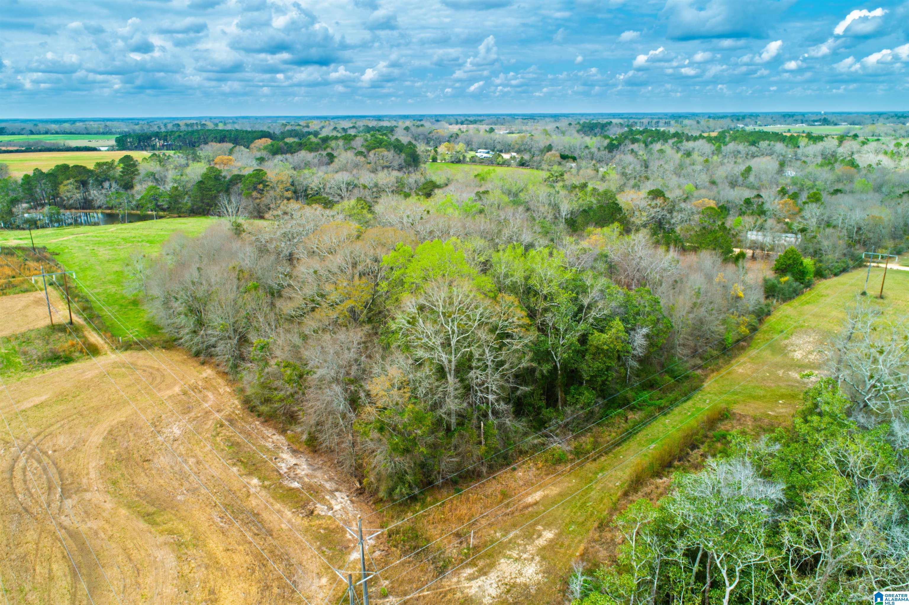 27180 Deer Run Road Opp, AL 36467 - Photo 10 of 60