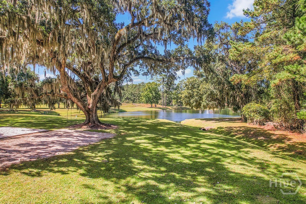 1187 Sapelo Circle Townsend, GA 31331 - Photo 55 of 56