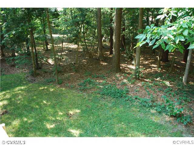 3908 Timber Ridge Place Midlothian, VA 23112 - Photo 12 of 12 a backyard of a house with lots of green space