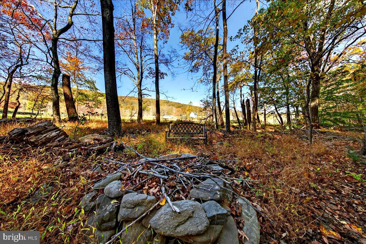 290 Riley Hollow Road Huntly, VA 22640 - Photo 144 of 148 a view of a backyard of the house