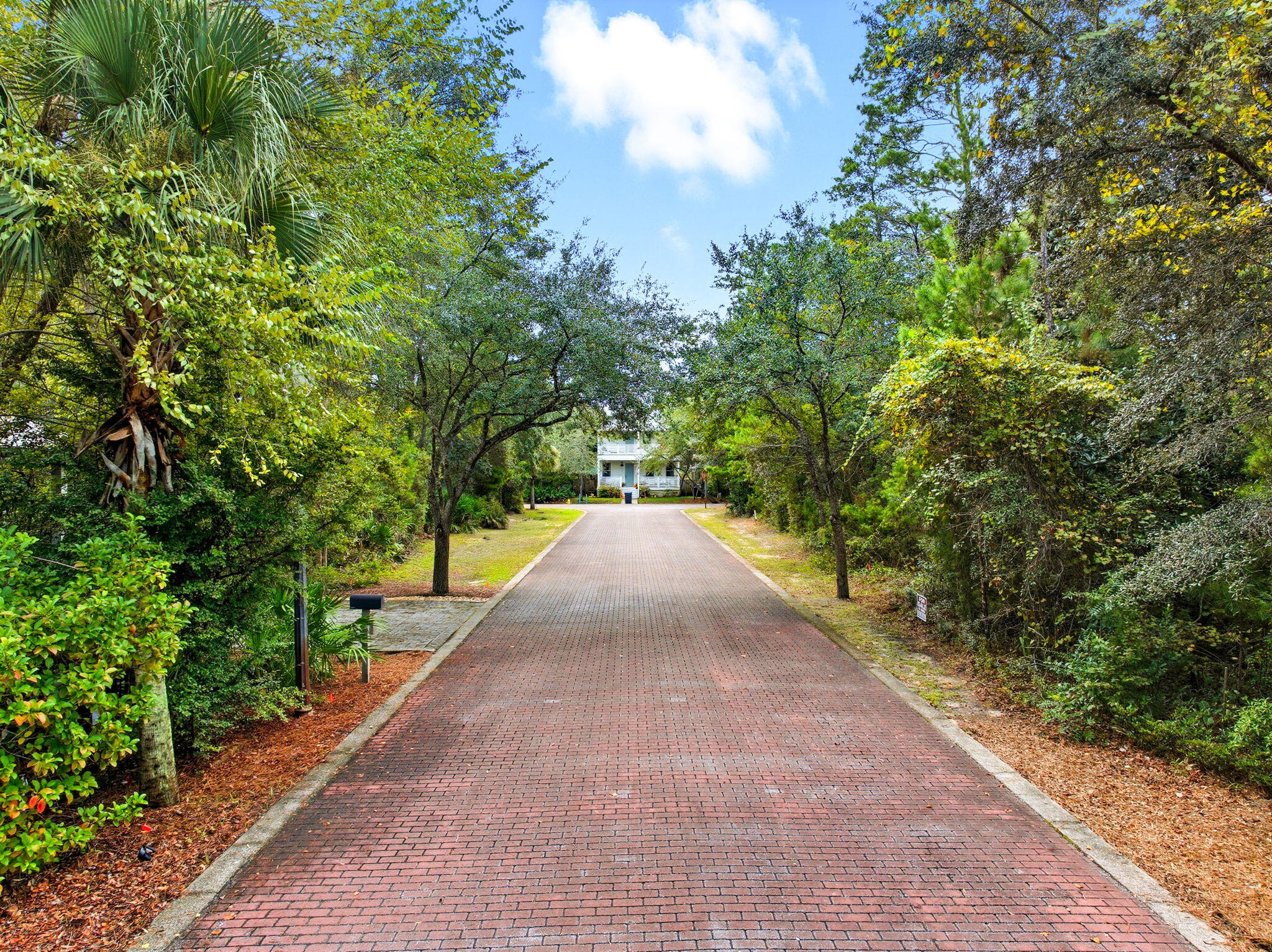 Lot 11 Riker Avenue Santa Rosa Beach, FL 32459 - Photo 1 of 6 a view of a garden with trees