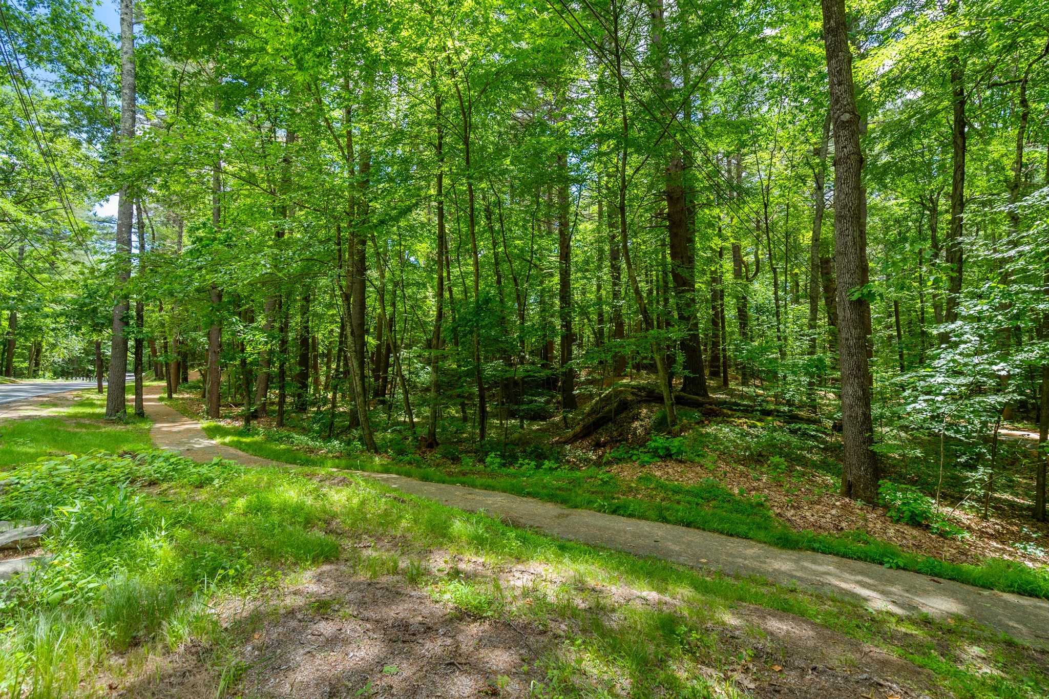 0 South Great Road Lincoln, MA 01773 - Photo 16 of 20 Gallery Image 16