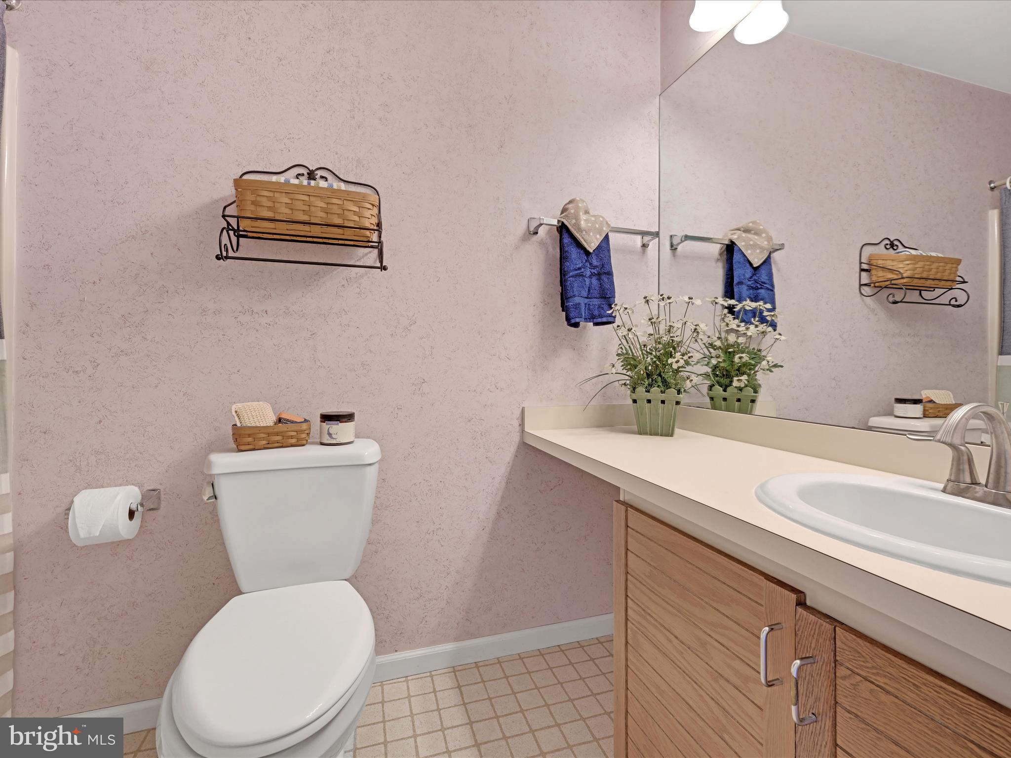 17 Spring Walk Court Lancaster, PA 17601 - Photo 19 of 26 Primary Bathroom