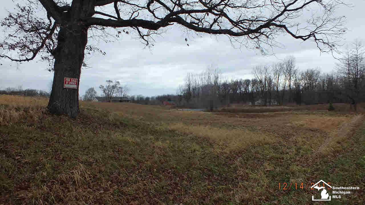 10 Yensch Road Maybee, MI 48159 - Photo 4 of 6