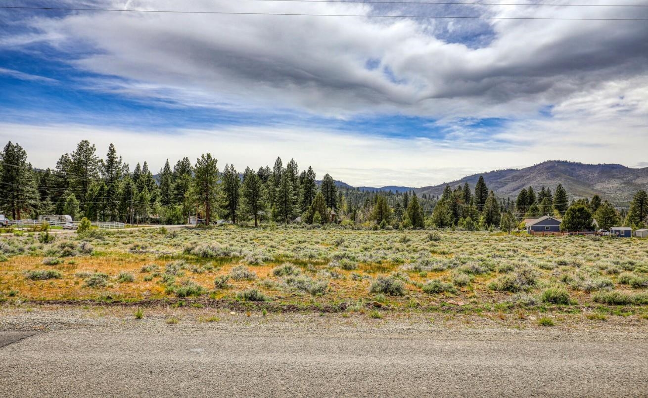171 Smithneck Road Loyalton, CA 96118 - Photo 3 of 24 a view of a dry yard with trees