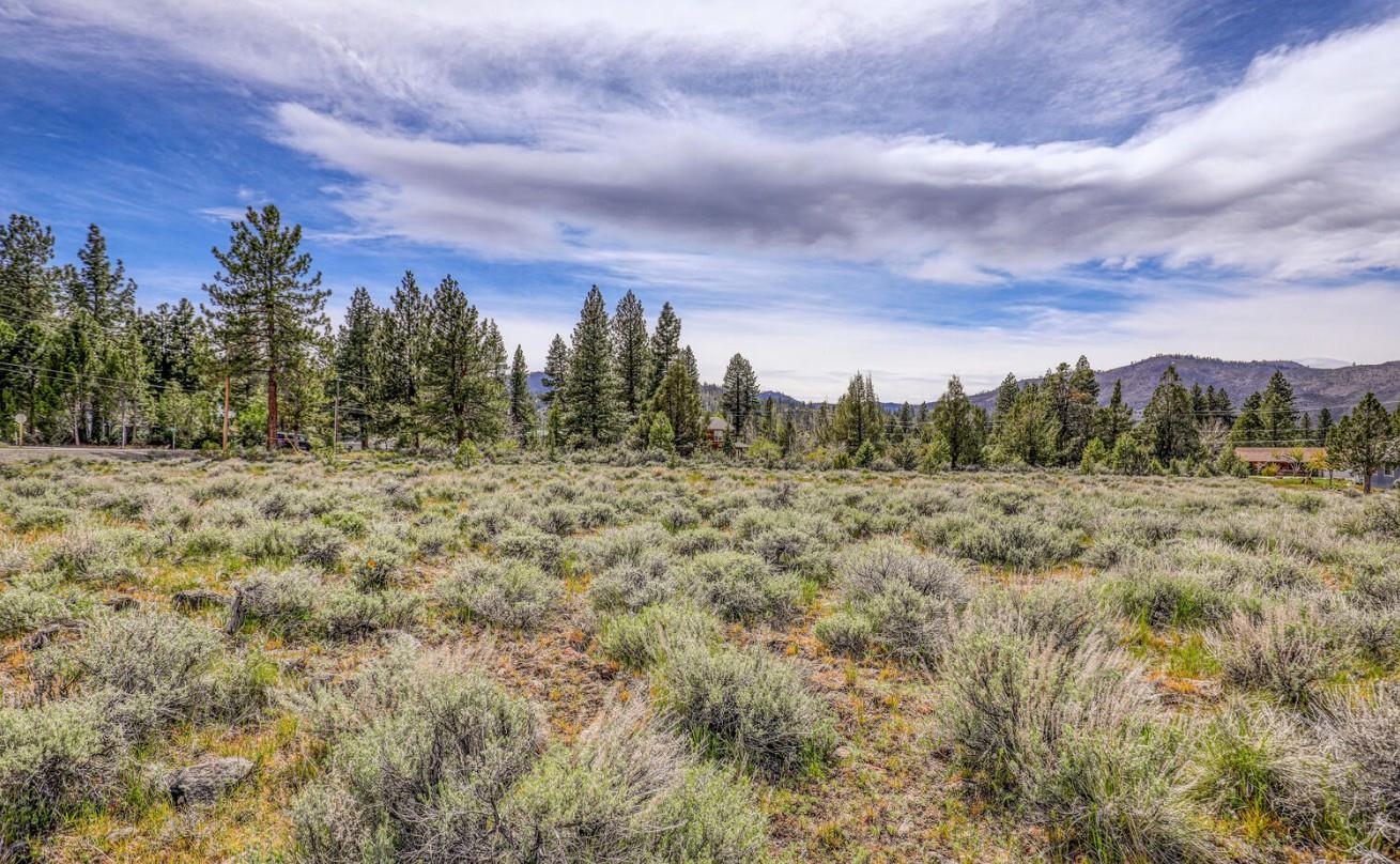 171 Smithneck Road Loyalton, CA 96118 - Photo 4 of 24 a view of a field