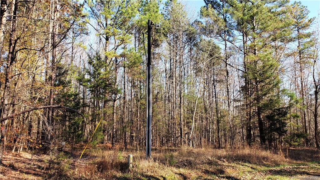 0 Rob Neal Road Heath Springs, SC 29058 - Photo 22 of 25 Gallery Image 22